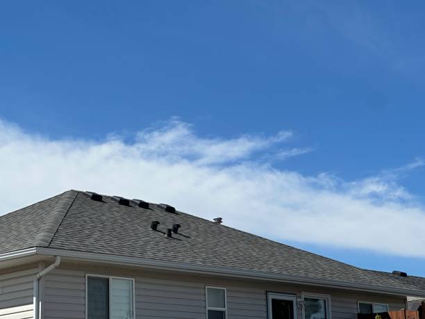 Best Roof Maintenance and Cleaning  in Ellwood City, PA